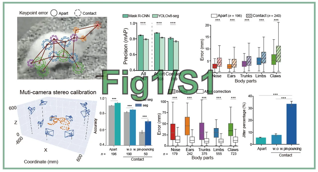 Fig1_S1