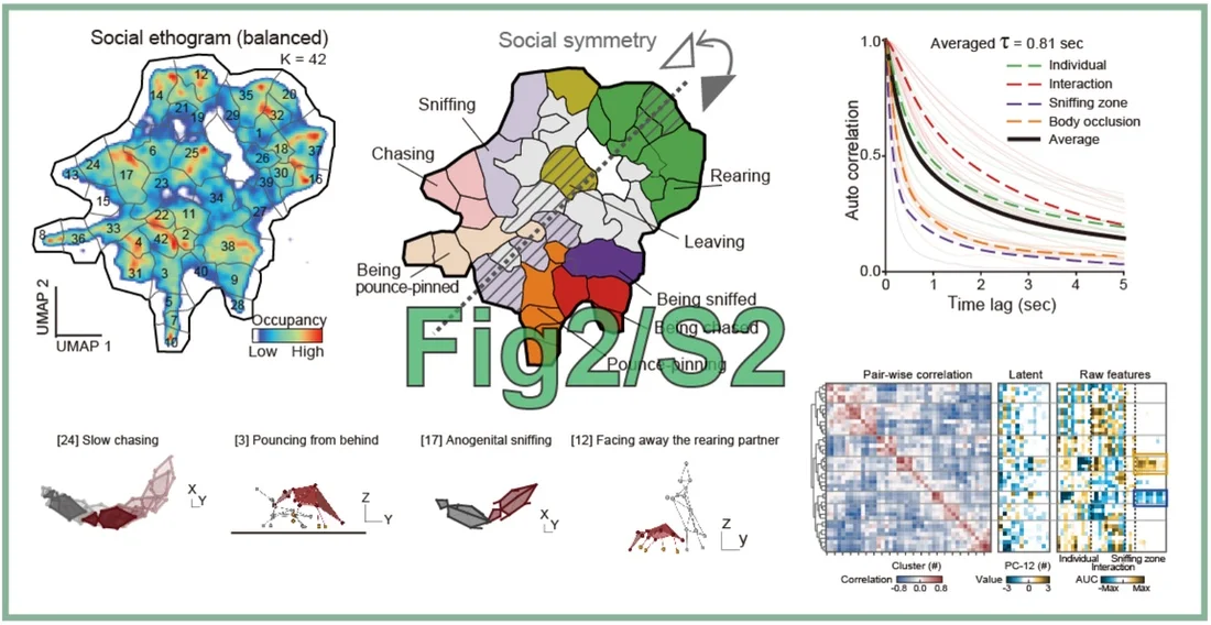 Fig2_S2