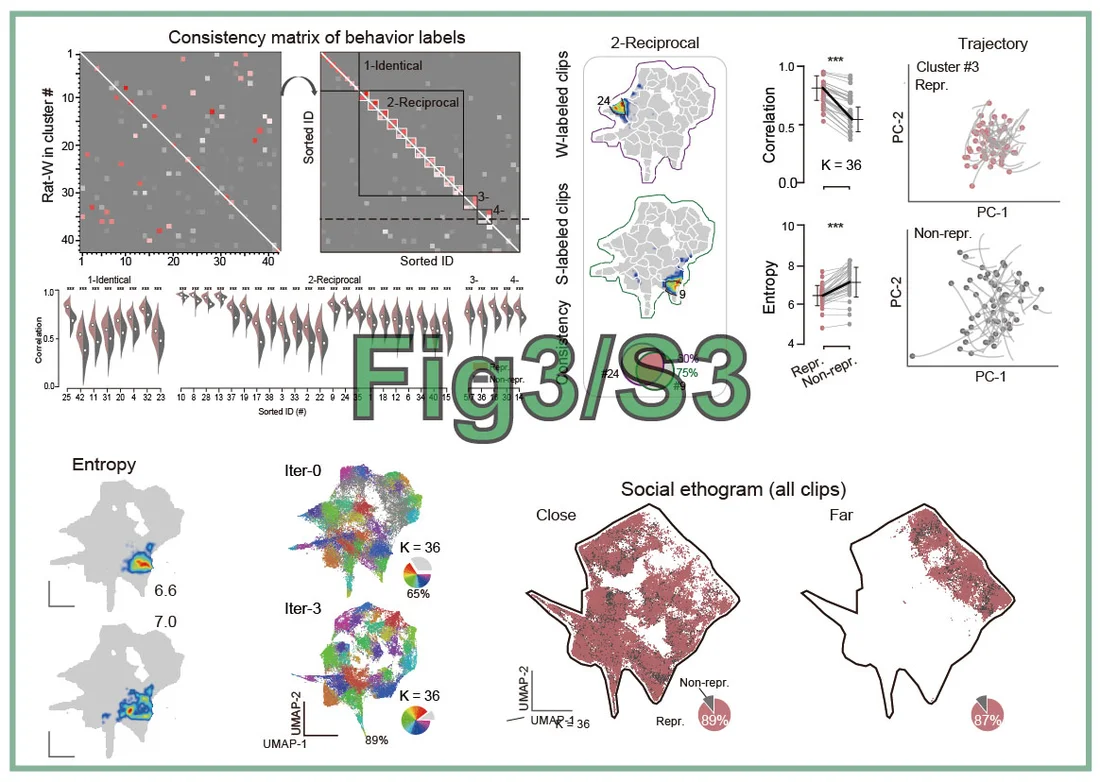 Fig3_S3