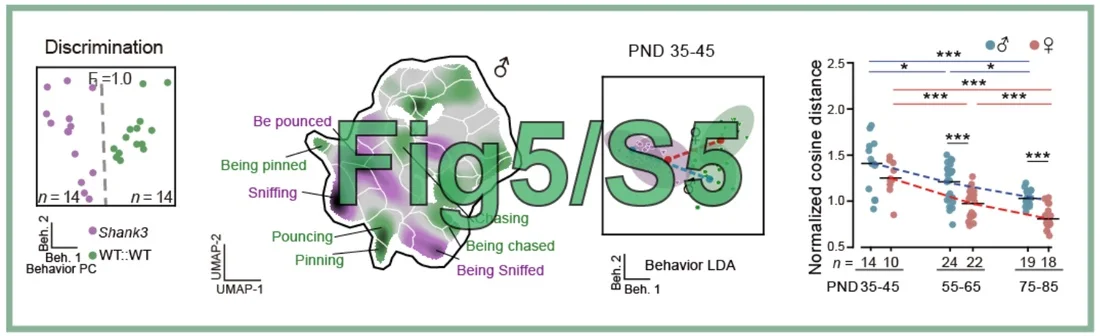 Fig5_S5